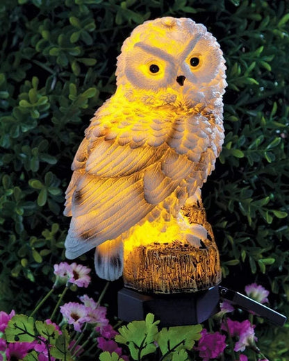 Le Hibou Lumineux