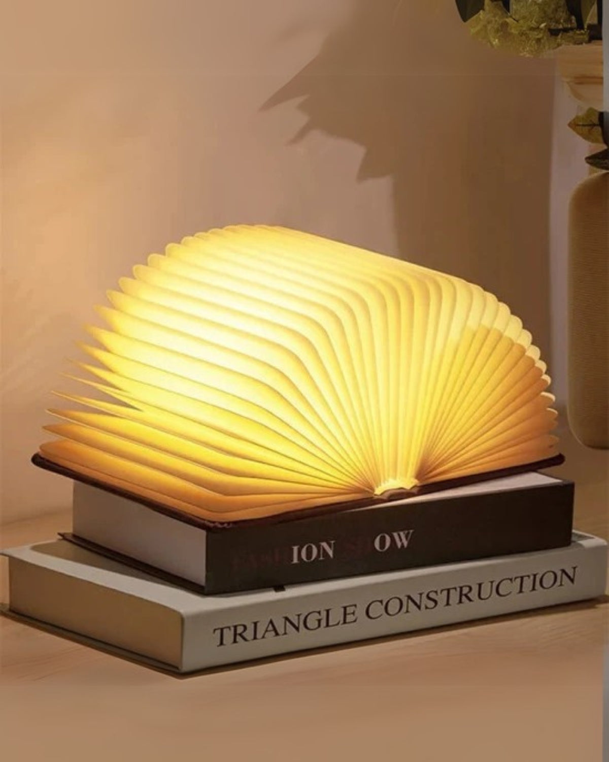 Le Livre Lumineux