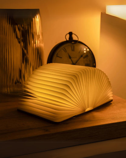 Le Livre Lumineux