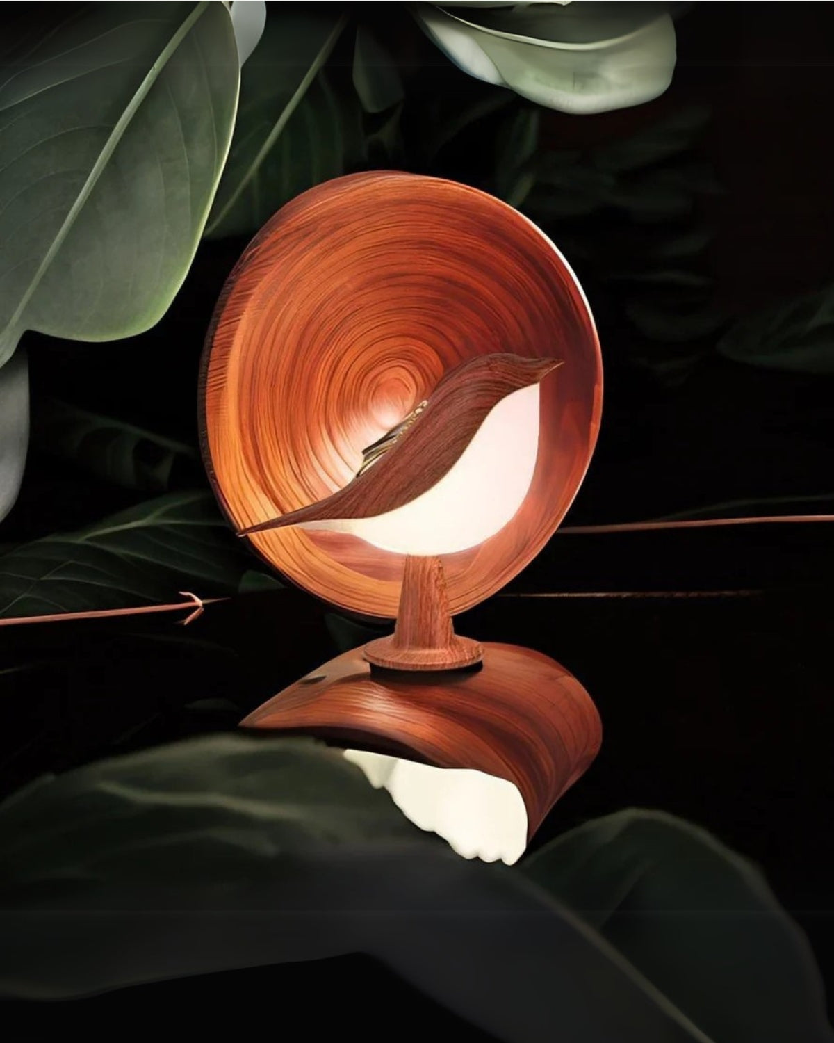 L'Uccello Luce