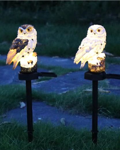 Le Hibou Lumineux