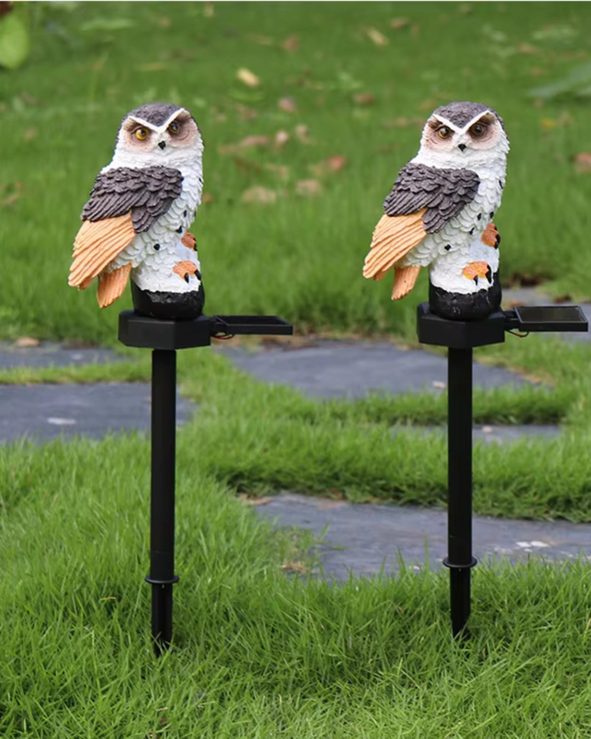 Le Hibou Lumineux