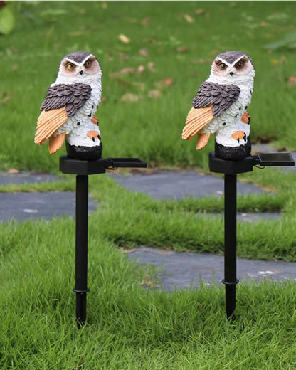 Le Hibou Lumineux