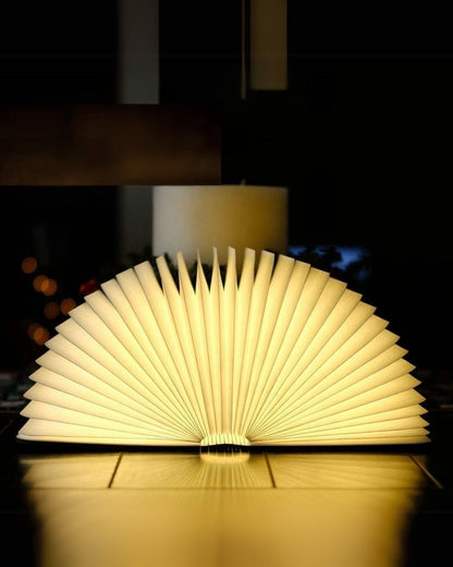 Le Livre Lumineux