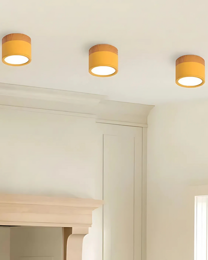 Lampada da soffitto Clairon