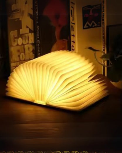 Le Livre Lumineux