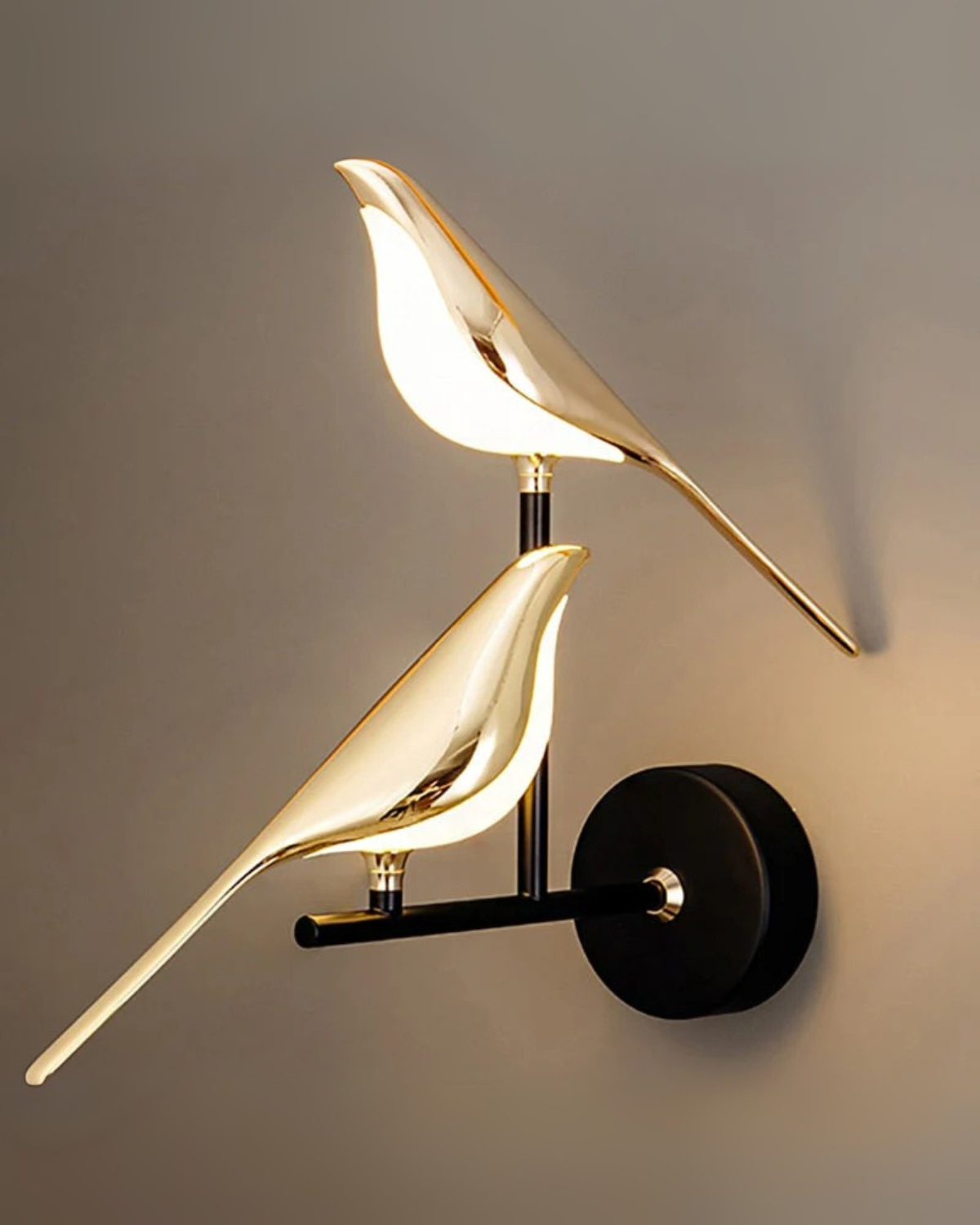 L'Uccello Luce