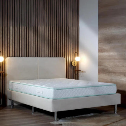 Materasso Twin XL da 9 pollici Excellence - Materasso a molle insacchettate con rivestimento in schiuma di Aloe Vera ibrido con parte superiore stretta e media