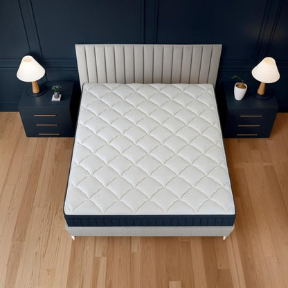 Materasso ibrido premium a molle insacchettate con supporto per bordi in memory foam Twin XL Size Tranquility 12 Medium