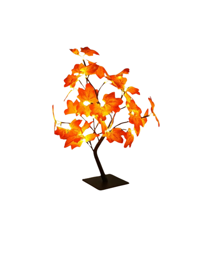 La Fleur Éclatante