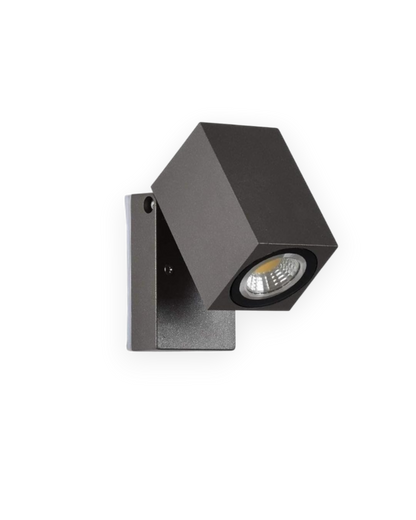 L'Âme Lumineuse