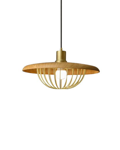 L'Envol de Lumière