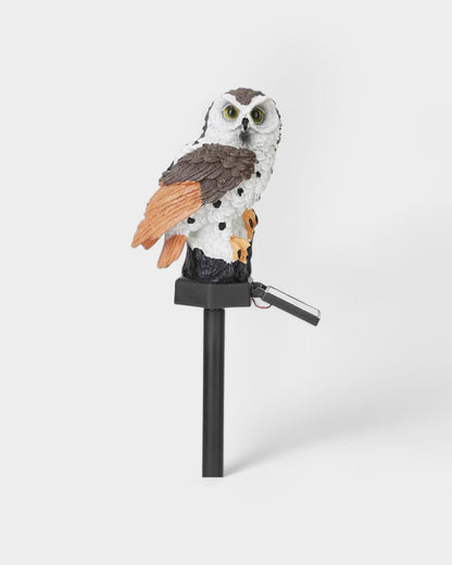 Le Hibou Lumineux