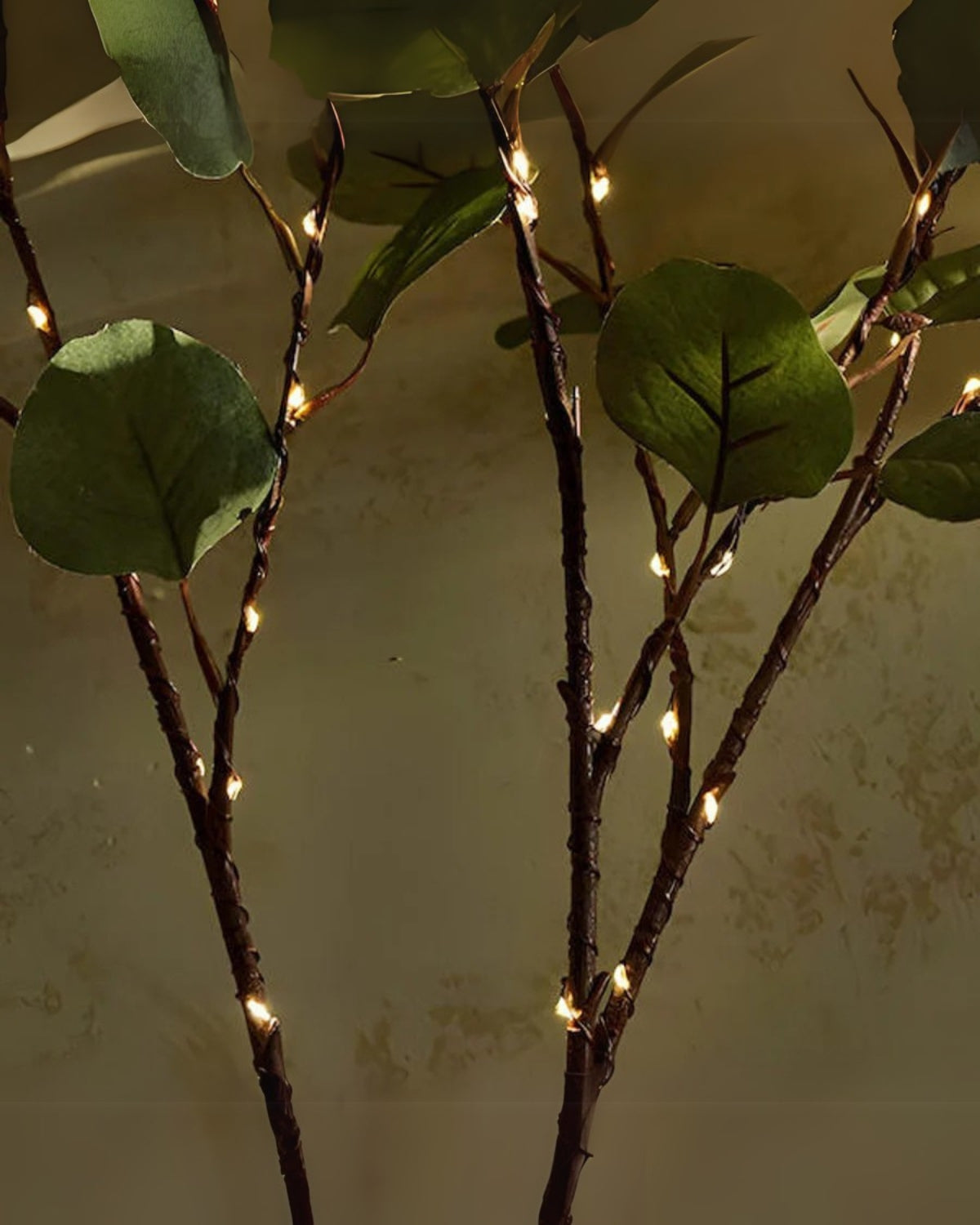 La Lumière Florale