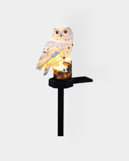 Le Hibou Lumineux